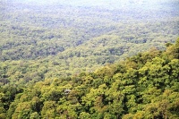 สมาคมต่อต้านสภาวะโลกร้อน ค้านแจกป่า 2.5 ล้านไร่ จวกใช้คนจนบังหน้าฟอกที่ดินเอื้อนายทุน