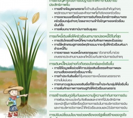 แนวทางแก้หนี้และการใช้เครื่องมือทางการเงินที่เหมาะสม ครัวเรือนเกษตรกรไทยต้องทำอย่างไร