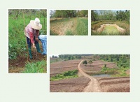 ส.ป.ก.ตั้งเป้าจัดสรรที่ดินให้กับเกษตรกร