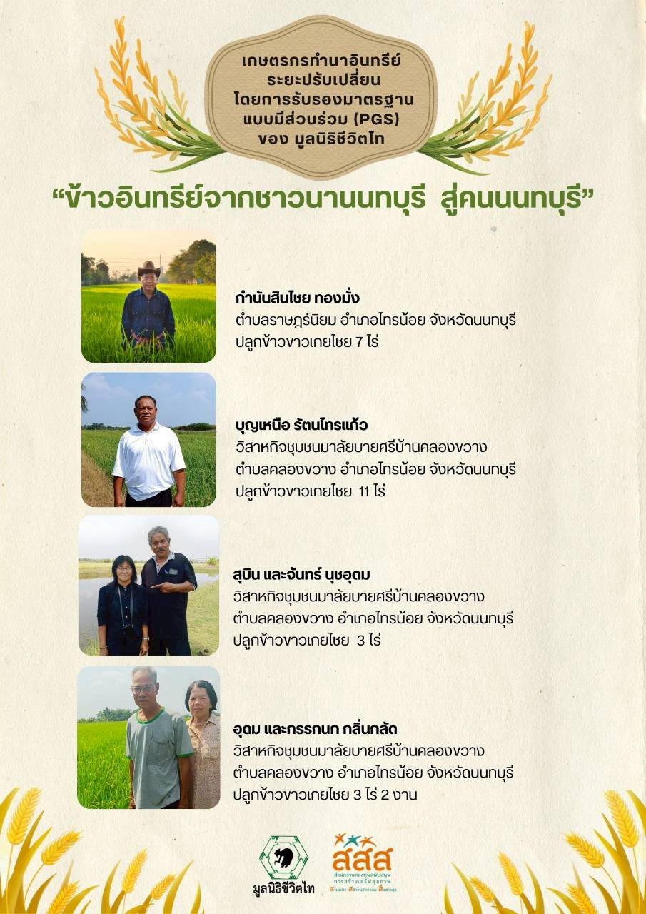 02OrganicRiceFarmingNonthaburi