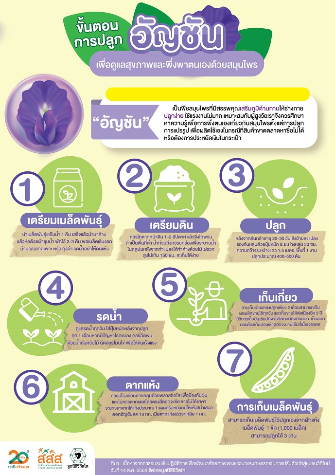 ButterflyPeaInfographic