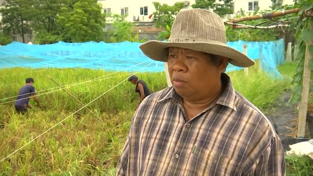 BangkokFarmer