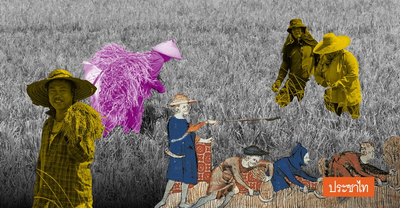 HowRCEPEffecsFoodandFarmers
