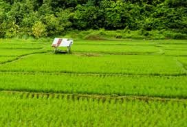 Landbank