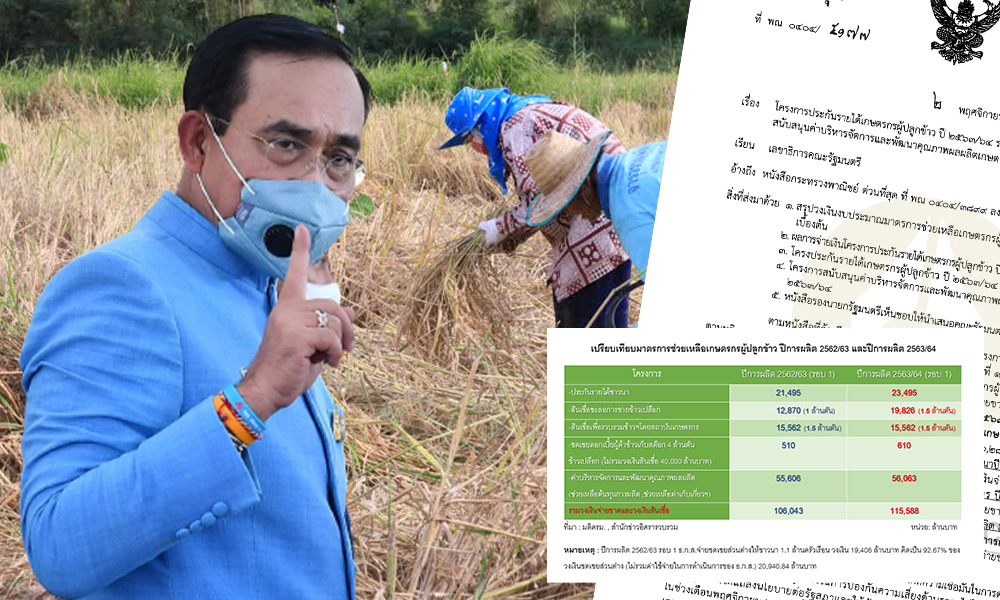 PrayutRiceIncome