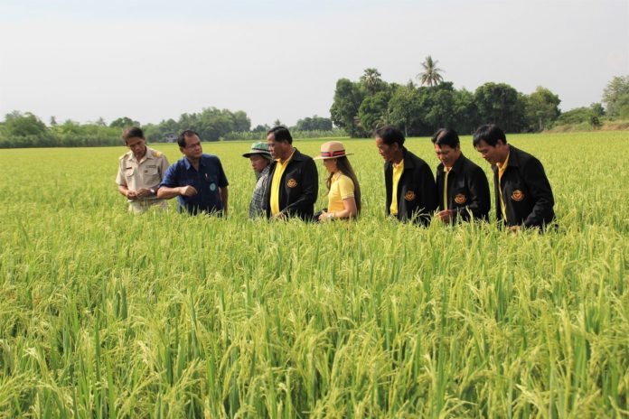 RiceSeedProducergroup
