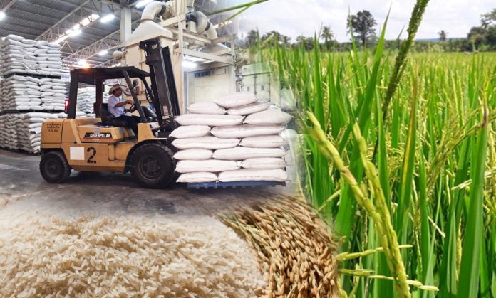 ThaiAgricultureSupplychain