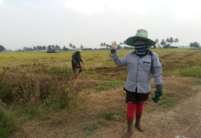 thaifarmer