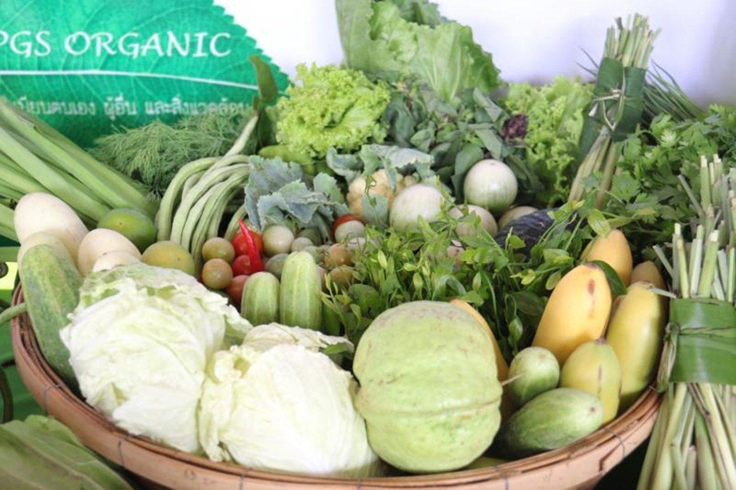 OrganicThailand