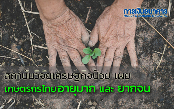 ThaiFarmerSituation