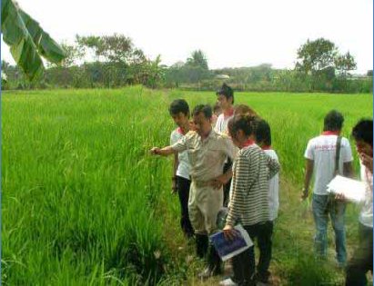 crop-เกษตรทฤษฎใหมบานนายวรนทร