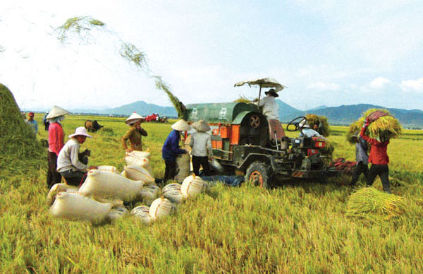 nong-thon-moi-tinmoitruong1