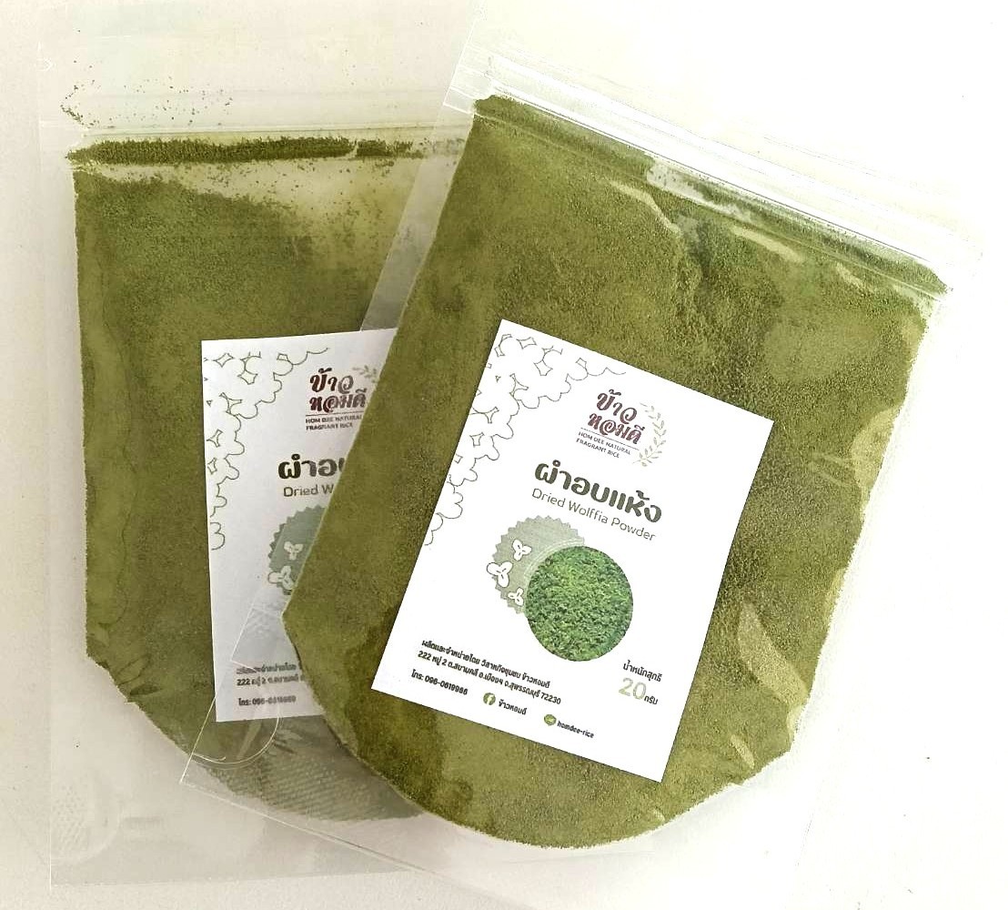 Dried Woffia Powder