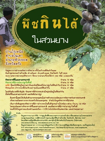 Local-Plant-Rainua-Leaflet