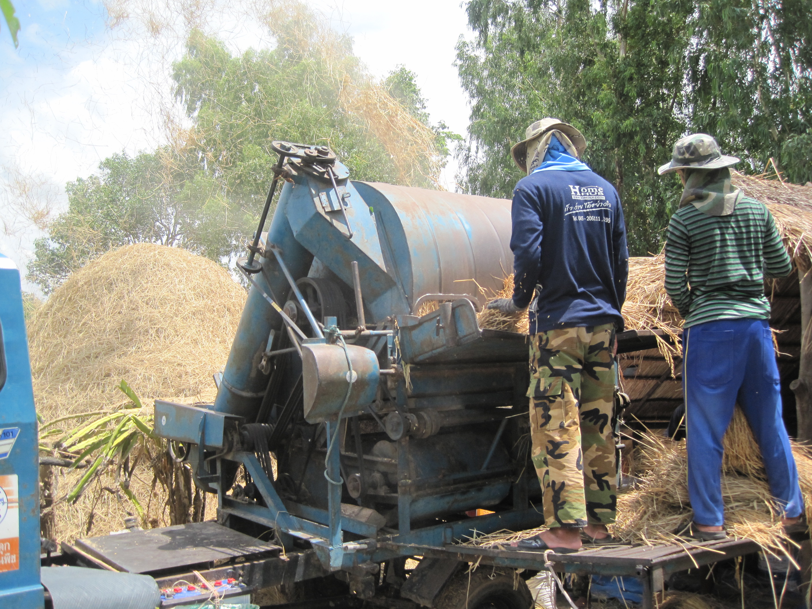 RiceHarvest